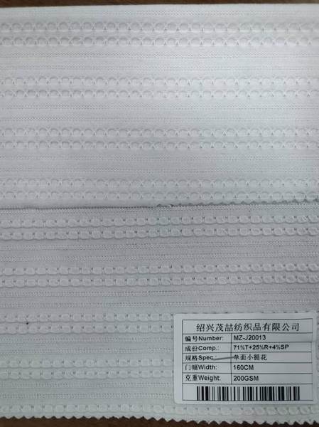 MZ-J20013